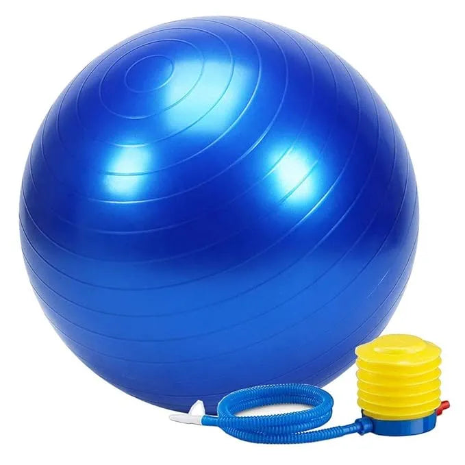 Gym Ball with Pump 65 cm Exercise Ball Extra Thick Yoga Ball Anti-Burst Heavy Duty Stability Ball Supports, Multicolor As Per Availability